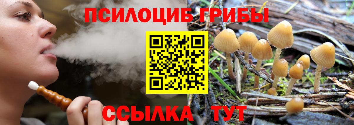 Псилоцибиновые грибы мицелий  дарнет шоп  Ивантеевка  Псилоцибиновые грибы Psilocybine cubensis  Вход с VPN 